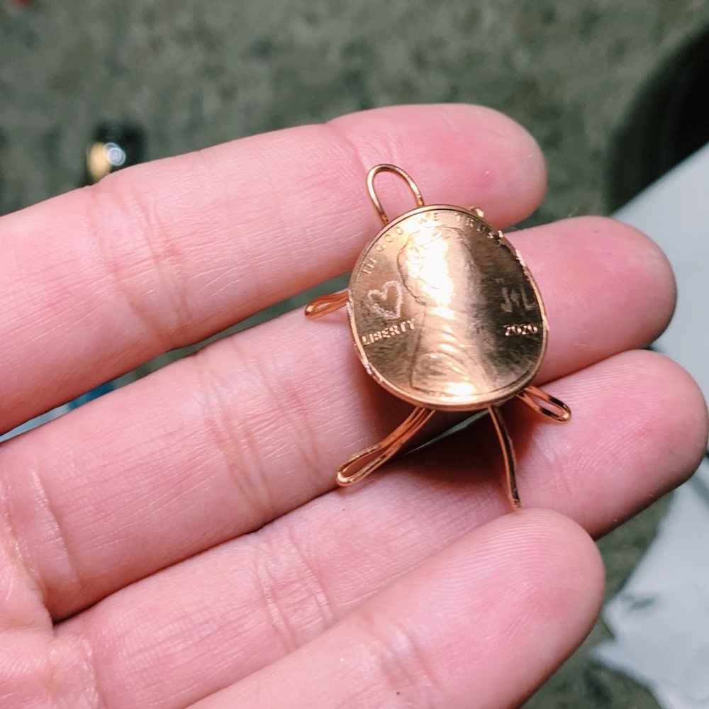 good luck turtle penny :)